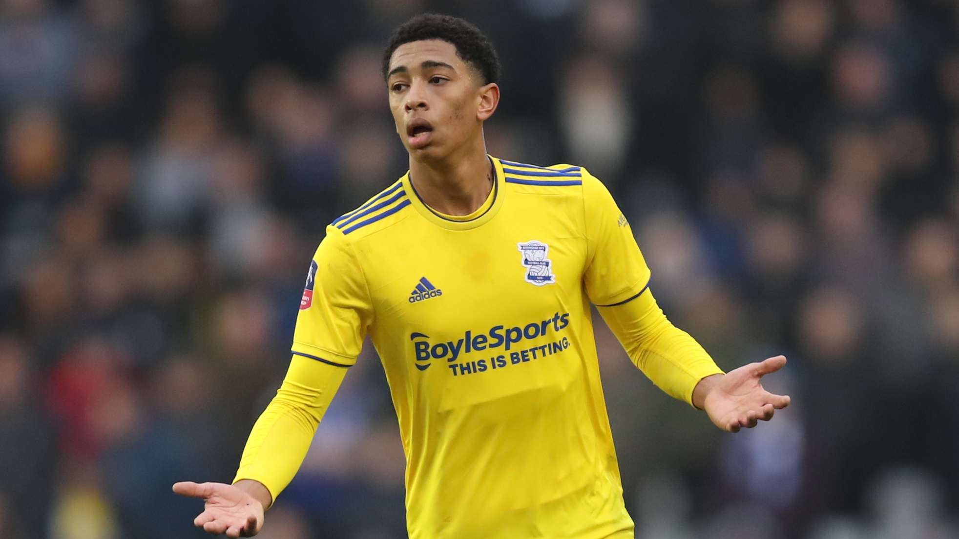 的韧性和毅 的韧性和毅