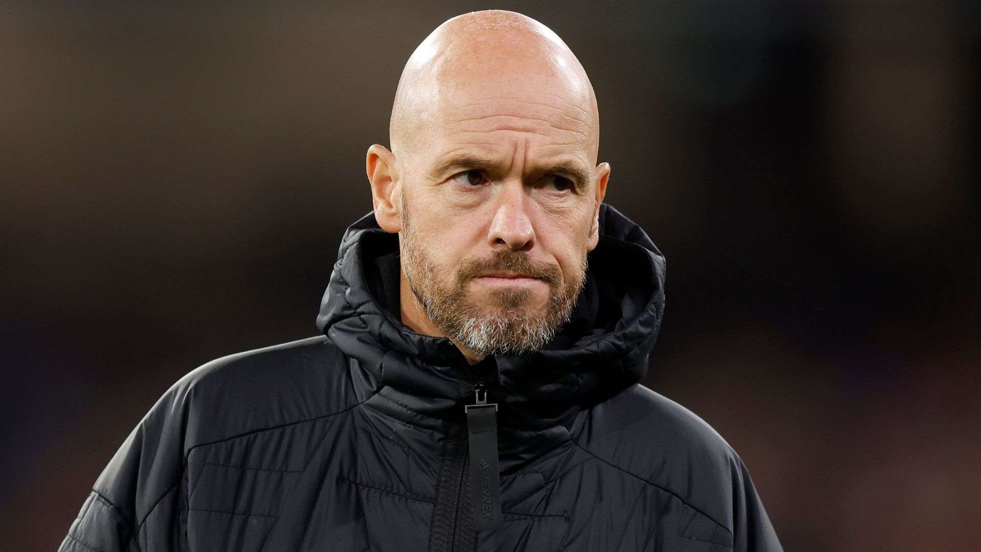 领先的多重 领先的多重